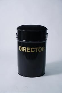 Пуф DIRECTOR